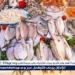 أسعار السمك البلطي والبوري اليوم الاربعاء 20-8-2025 في محافظة قنا - هرم مصر