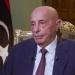 رئيس مجلس النواب الليبي يرحب بدعوة البعثة الأممية لتشكيل حكومة موحدة جديدة - هرم مصر