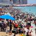 محافظة الإسكندرية: 3.2 مليون زائر بنسبة إشغال 100% بـ الشواطئ خلال صيف 2025 - هرم مصر
