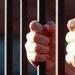 حبس المتهم بإنهاء حياة ابنة زوجته في القاهرة - هرم مصر