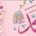 5 أسماء للنبي ﷺ لا يعرفها كثيرون.. وكيل بالأوقاف يوضحها - هرم مصر