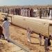 ارتفاع عدد المصابين في حادث انقلاب قطار مطروح إلى 100 شخص - هرم مصر