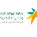 الموارد البشرية تُطلق خدمة الموافقة على تنظيم فعاليات المسؤولية الاجتماعية - هرم مصر