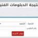 نتيجة الدبلومات الفنية الدور الثاني 2025 متاحة  عبر الرابط - هرم مصر