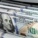 استقرار سعر الدولار الأمريكي أمام الجنيه المصري في ختام تعاملات اليوم الخميس 11 سبتمبر 2025 - هرم مصر