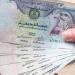 سعر الدرهم الإماراتي اليوم الخميس 11 سبتمبر 2025 - هرم مصر