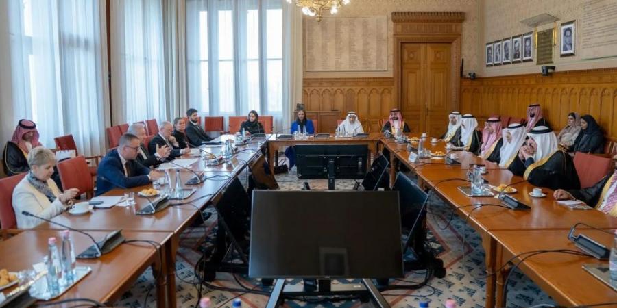 السعودية والمجر.. مناقشة تفعيل مجلس الأعمال لتيسير التعاون التجاري والاستثماري - هرم مصر
