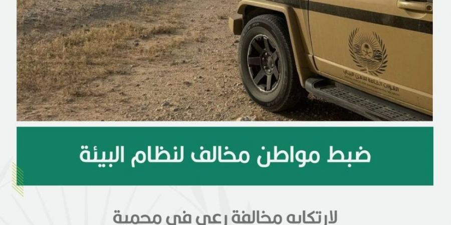18 متنًا من الإبل.. ضبط مواطن ارتكب مخالفة بمحمية الملك عبدالعزيز - هرم مصر