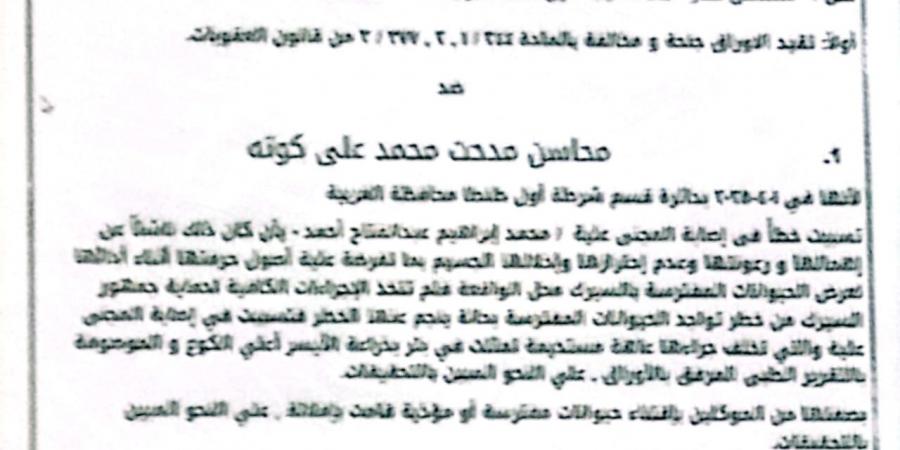 إحالة "أنوسة كوتة " للمحاكمة بسبب واقعة عامل السيرك بطنطا - هرم مصر