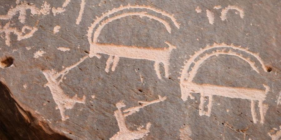 دراسة سعودية تكشف: ثدييات كبيرة عاشت بالجزيرة العربية قبل 10 آلاف عام - هرم مصر