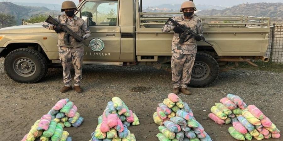 جدة.. القبض على مقيمين لترويجهما مادة الشبو المخدر - هرم مصر