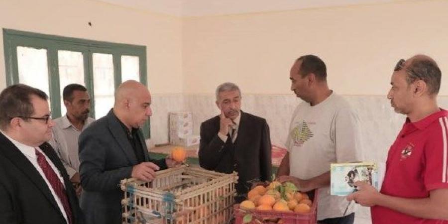 وكيل تعليم الوادي الجديد يطمئن على إجراءات واشتراطات التغذية المدرسية - هرم مصر
