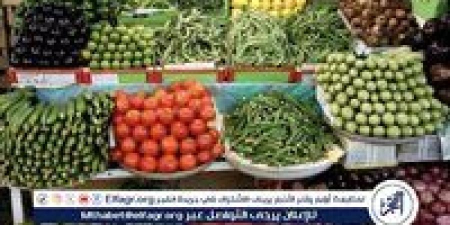 أسعار الخضروات اليوم الاربعاء 28-5-2025 في قنا - هرم مصر