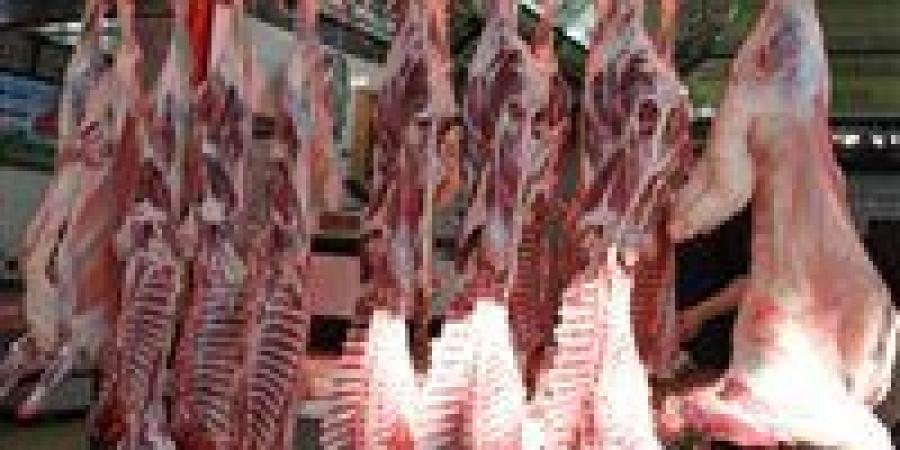 أسعار اللحوم الجملي والضاني اليوم الاربعاء 28-5-2025 في الأسواق ومحال الجزارة بقنا - هرم مصر