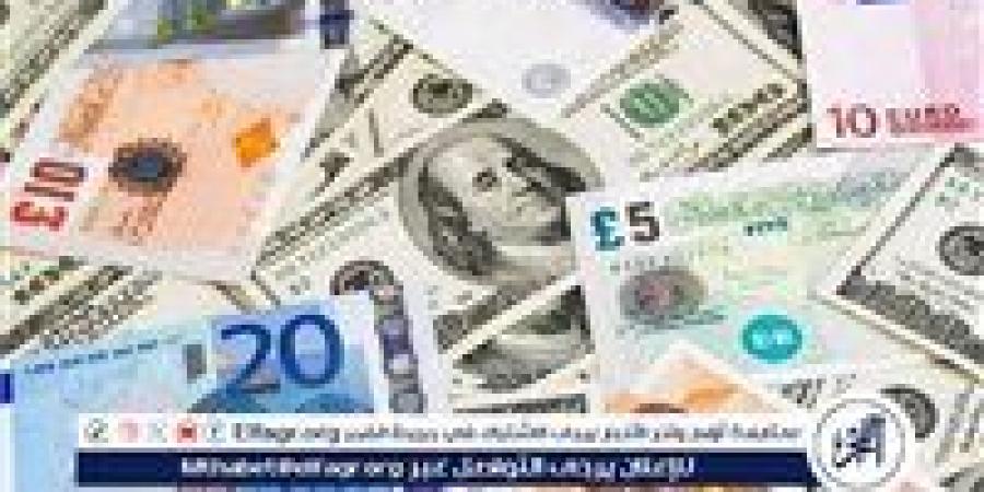 متوسط أسعار العملات الأجنبية أمام الجنيه اليوم 28/5/2025 في البنك المركزي المصري - هرم مصر