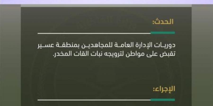 القبض على شخص لترويجه نبات القات بعسير - هرم مصر