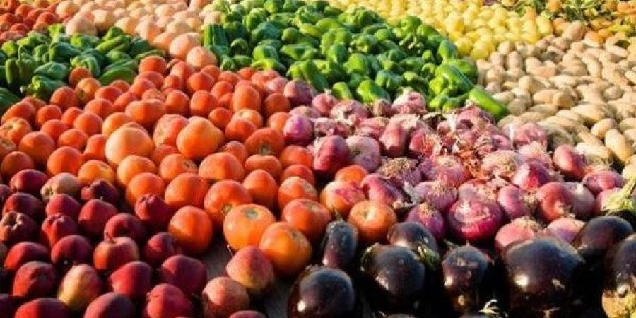 تجاوزت 4.8 مليون طن.. قفزة كبيرة في الصادرات الزراعية - هرم مصر