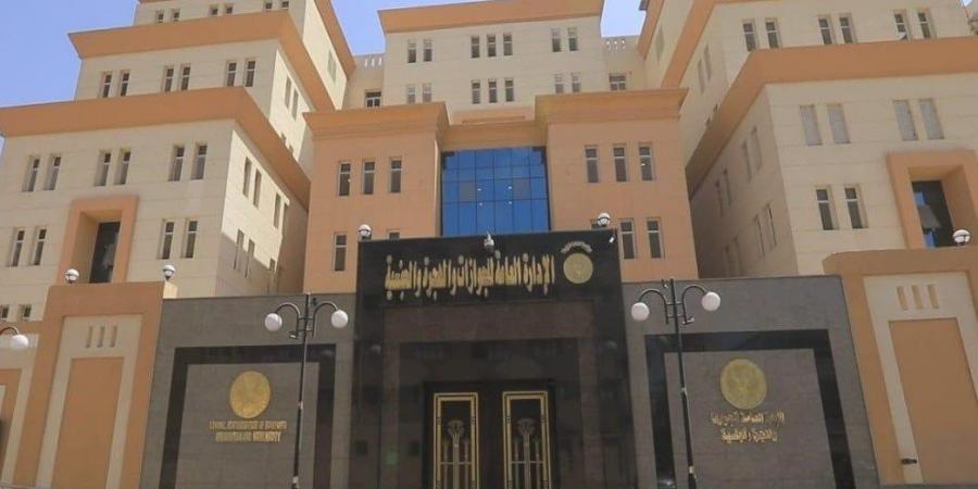 «الجوازات» تواصل تسهيل إجراءات الحصول على خدماتها لـ كبار السن وذوي الهمم - هرم مصر