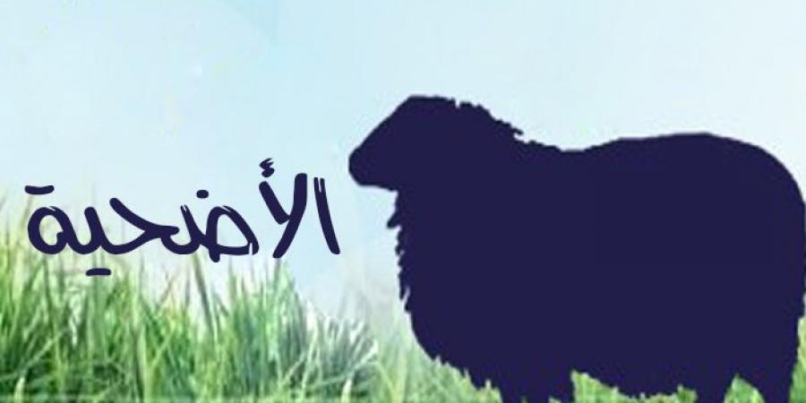 هل تعلم متى شُرعت الأضحية والحكمة منها؟ #دين وحياة #دار الإفتاء - هرم مصر