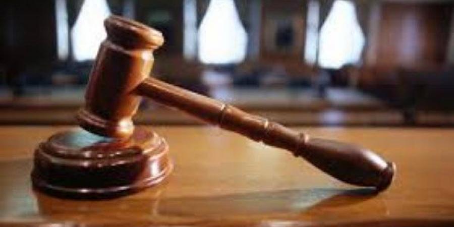 إحالة سايس جراج قتل شخصا بسبب خلافات سابقة بالقليوبية للمفتي - هرم مصر