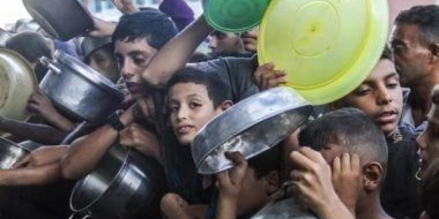الاحتلال يواصل المجازر في غزة والضفة: 60 شهيدًا و 200 جريح .. "الأونروا" توثق مقتل وإصابة 50 ألف طفل.. العدوان يدمر مساجد ومستشفيات ويعلن قرية "خلة الضبع"   منطقة عسكرية مغلقة بعد تهجير سكانها - هرم مصر