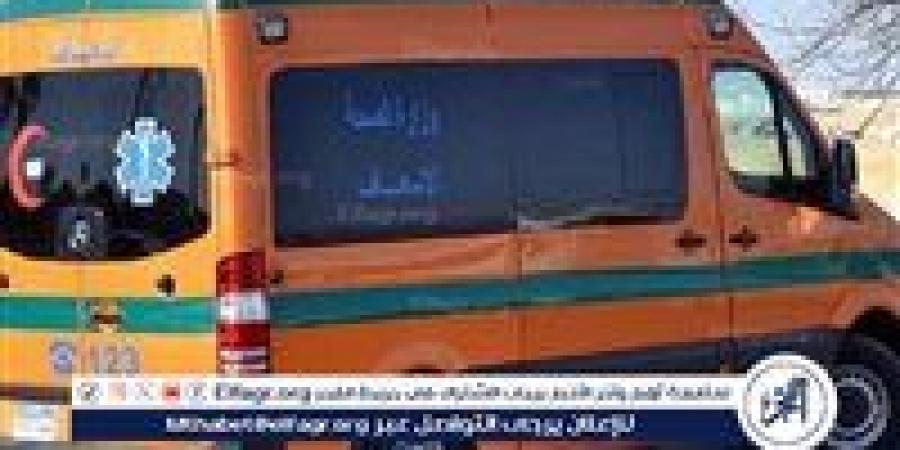 لهو الطفولة يتحول إلى كارثة.. ماذا حدث لطفلة بالهرم؟ - هرم مصر