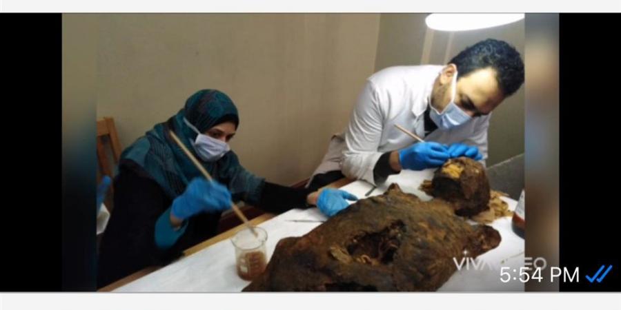 خبير آثار مصري ينجح في ترميم باروكة شعر أثرية عمرها 3000 عام - هرم مصر