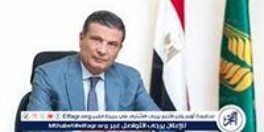 خبر سار من وزير الزراعة بشأن تحقيق الاكتفاء الذاتي من القمح للخبز المدعم - هرم مصر