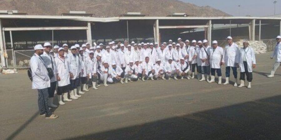 وزير الزراعة يتابع أعمال البعثة البيطرية المصرية للإشراف على الهدي والأضاحي بالسعودية - هرم مصر
