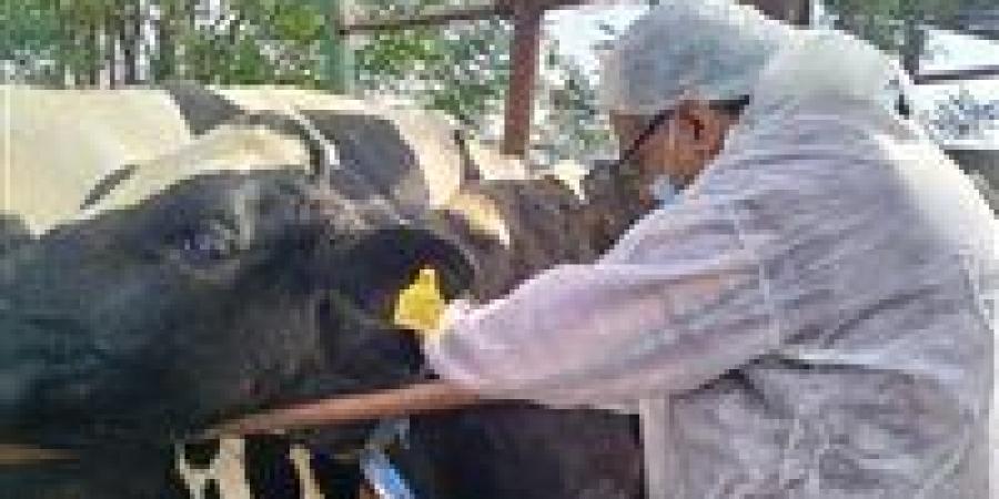 وقف إجازات الأطباء البيطريين والعاملين بالمجازر والمختصين بالتفتيش على اللحوم خلال إجازة عيد الأضحى بالجيزة - هرم مصر