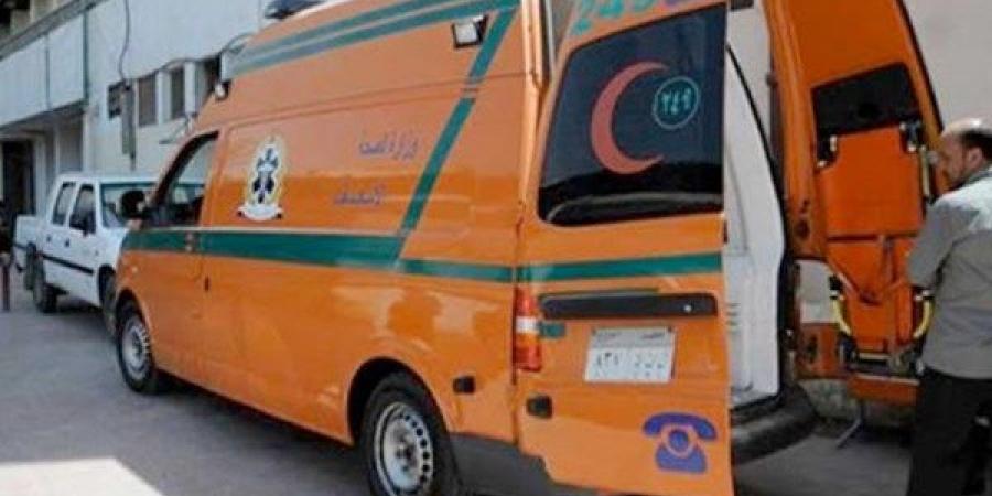بينهم 7 أطفال.. إصابة 11 شخصا من أسرة واحدة باشتباه تسمم بأسيوط - هرم مصر
