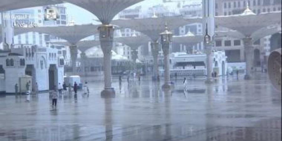 تصحيح تلاوتهن للقرآن.. مبادرة خاصة لزائرات المسجد النبوى - هرم مصر