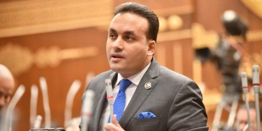 برلماني: توجيهات الرئيس السيسي للمجموعة الاقتصادية تؤسس لمرحلة جديدة - هرم مصر