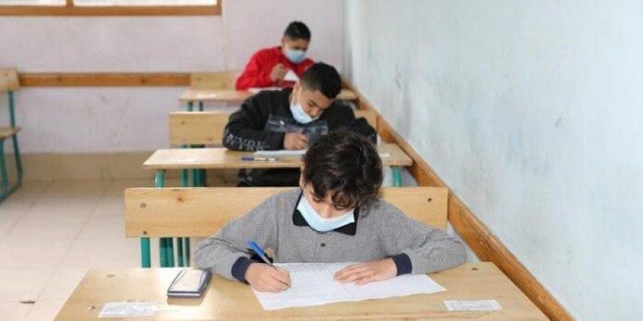 اليوم.. مديرية التعليم بدمياط تعلن نتائج الترم الثاني لصفوف النقل 2025 - هرم مصر