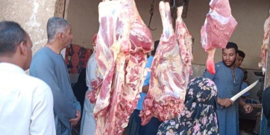 تموين قنا يحرر 1222مخالفة متنوعة خلال شهر مايو - هرم مصر