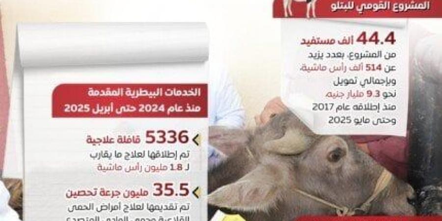مجلس الوزراء: توفير الأضاحي واللحوم بأسعار مناسبة لتلبية احتياجات المواطنين «إنفوجراف» - هرم مصر
