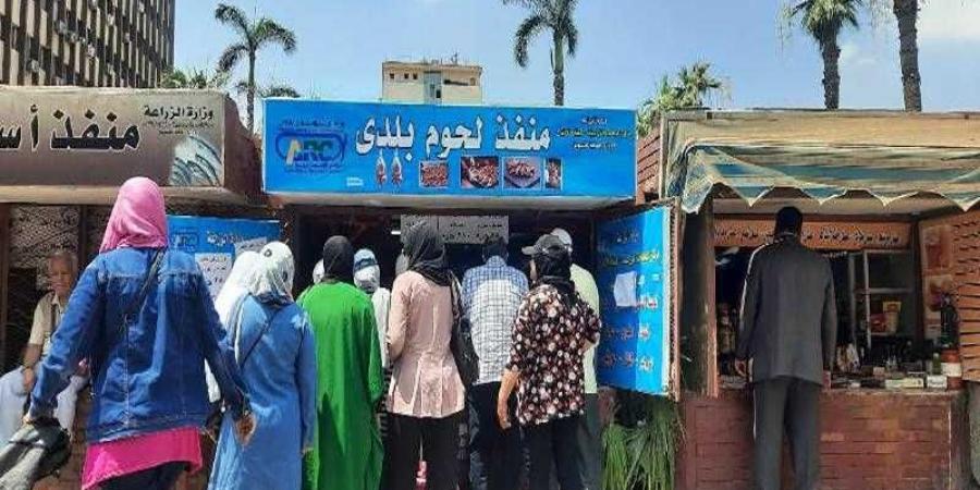 إقبال كبير من المواطنين على منافذ وزارة الزراعة لشراء لحوم عيد الأضحى - هرم مصر