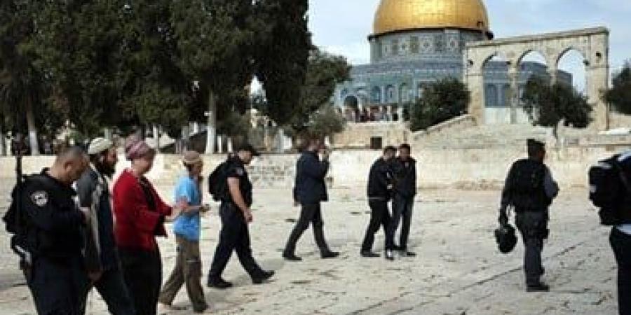 عشرات المستوطنين يقتحمون باحات المسجد الأقصى تحت حماية شرطة الاحتلال - هرم مصر