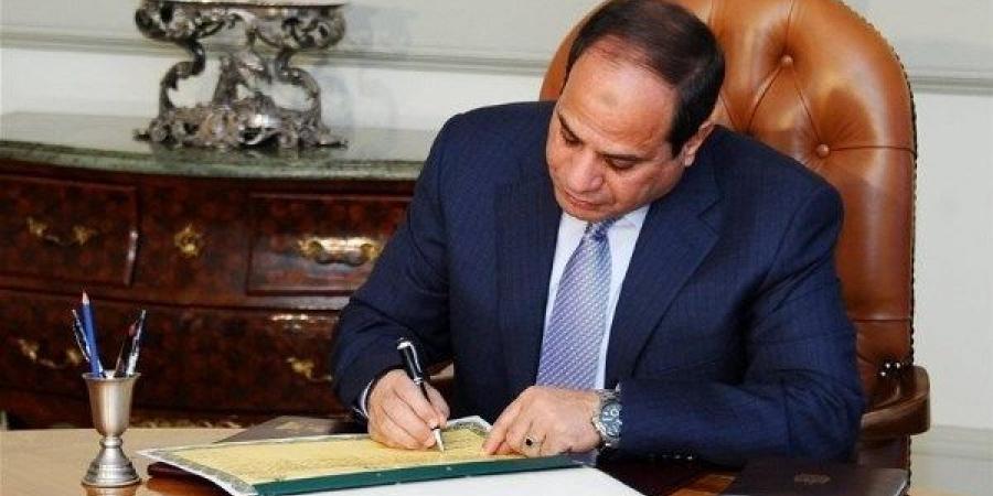 قرار جمهوري بالموافقة على منحة إسبانية لتمويل مشروع خلق فرص عمل للشباب - هرم مصر