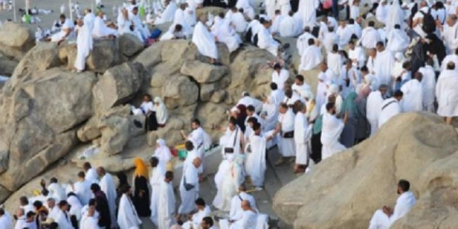 توكلنا يسهل حركة الحجاج ويعزز إجراءات السلامة في موسم الحج - هرم مصر