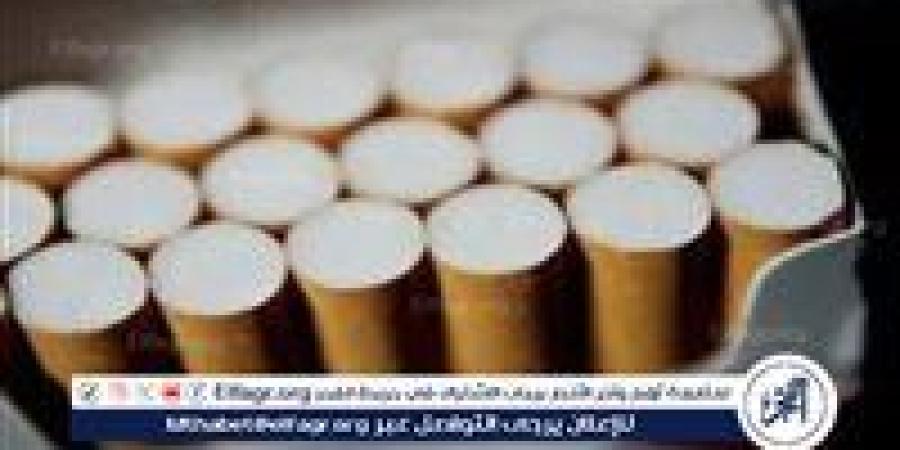 اسعار السجائر الجديدة 2025 المحلية والمستوردة في الأسواق المصرية - هرم مصر