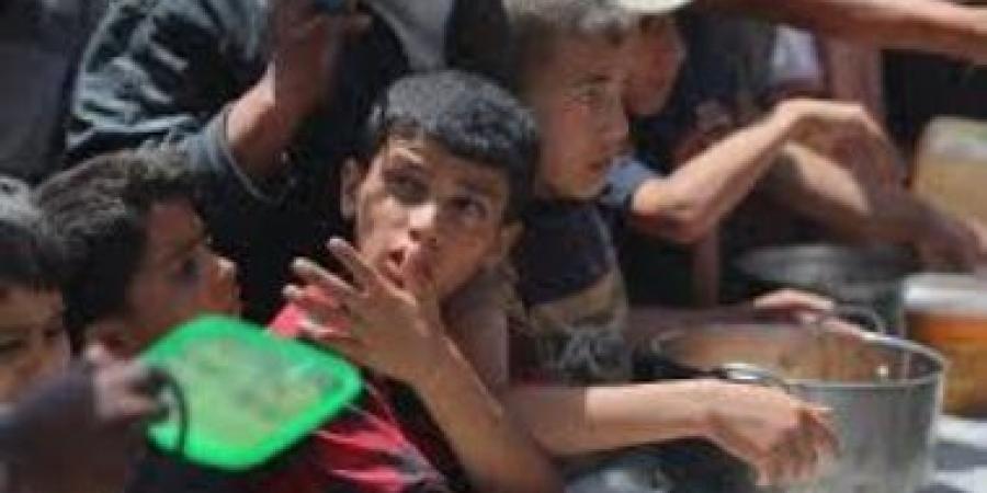 بريطانيا: ندعم الأونروا لأنها الأكثر فعالية في إيصال المساعدات - هرم مصر