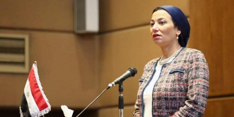 وزيرة البيئة: لابد من الربط بين اتفاقيات ريو لمواجهة التحديات العالمية - هرم مصر