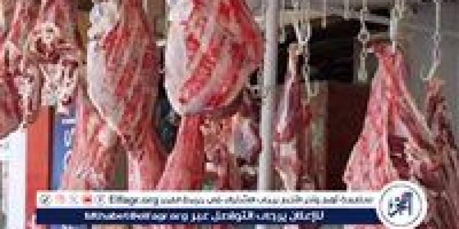 أسعار اللحوم الجملي والضاني اليوم الاربعاء 4-6-2025 في الأسواق ومحال الجزارة بقنا - هرم مصر