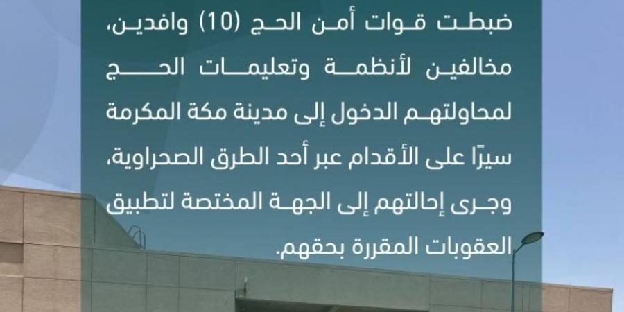 قوات أمن الحج تضبط 10 وافدين مخالفين لأنظمة وتعليمات الحج - هرم مصر