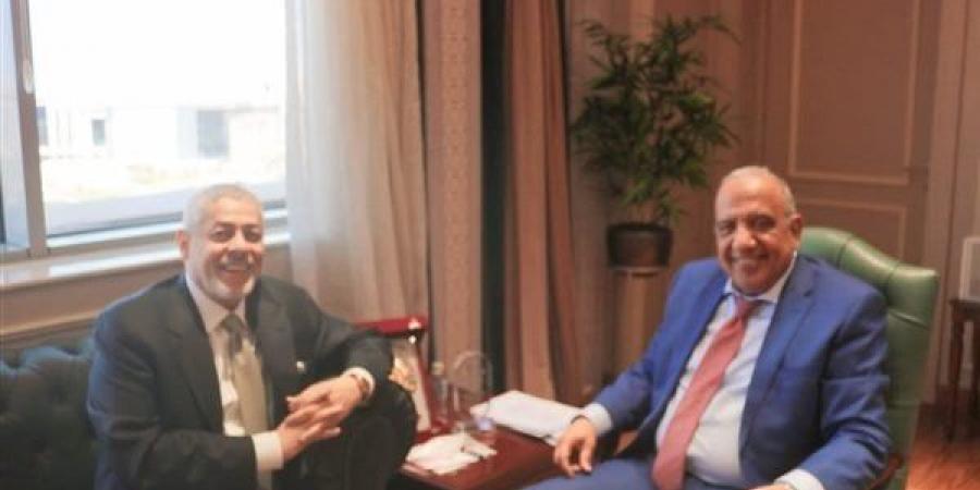 وزير الكهرباء يبحث مع إيميا باور الإماراتية زيادة التعاون في مجالات الطاقة المتجددة - هرم مصر