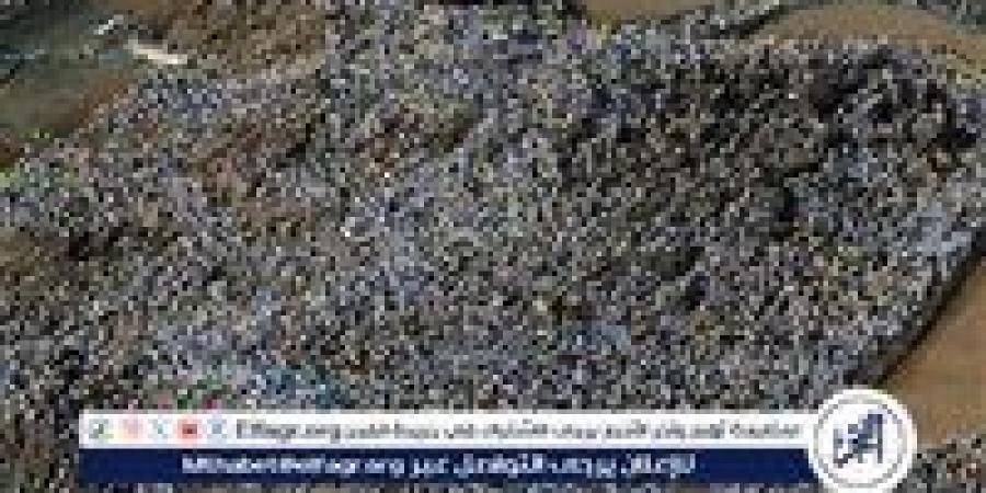 طقس شديد الحرارة يوم عرفة و"الصحة السعودية" تحذر.. درجة الحرارة تتجاوز 42 وتحذيرات للحجاج من ضربات الشمس - هرم مصر