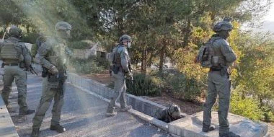 الوطنى الفلسطينى: العدوان على بلدة دير دبوان إرهاب منظم تدعمه حكومة الاحتلال - هرم مصر