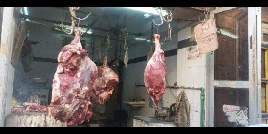 استعدادًا لعيد الأضحى.. حملات تموينية مكثفة وتحرير 156 محضرًا للمخالفين في أسوان - هرم مصر