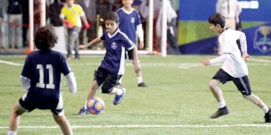 تجهيز 4 ملاعب نجيل صناعي بكل إدارة تعليمية لتنفيذ دوري المدارس - هرم مصر